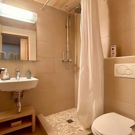 Daire Luxurious Flat With Jacuzzi Sauna Schönried