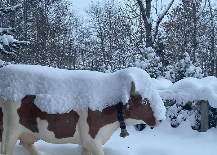 Luxurious Flat With Jacuzzi Sauna Lejlighed Schönried