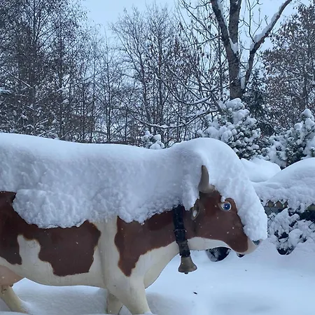 Luxurious Flat With Jacuzzi Sauna 쉬켄리드